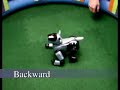 Tekkotsu Walking - Follow Head Behavior