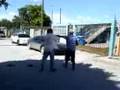 peleas matamorences