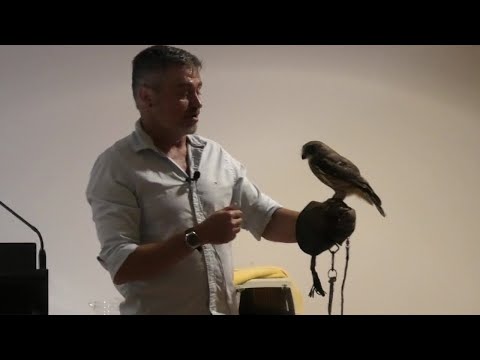 <p>Owls and their ability to control rodents</p>
 video thumbnail