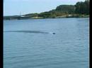 21072007 Sigma Evo rc-boat