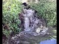 Contaminacion  Rio Vinalopo en su paso por Banyeres