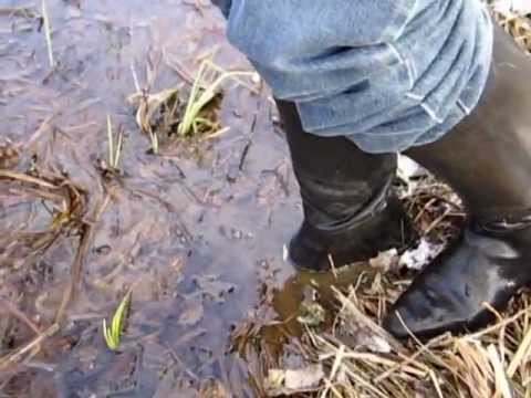 boots in mud
