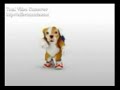 perrito culeando(regueton)