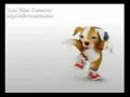 perrito culeando(regueton)