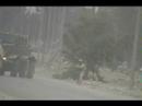Buffalo hunting IEDs Buffalo hunting IEDs