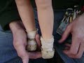 25\" SHIRLEY TEMPLE DOLL