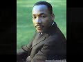 VIDEO MLK Memorial Tree