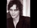 ville valo