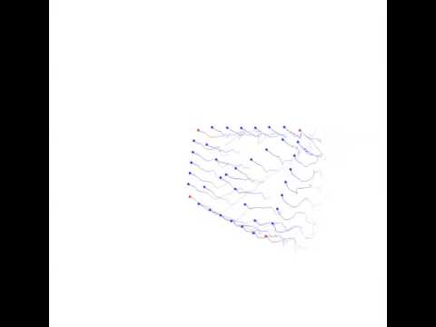 Tetrahedron Swarm