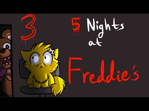 how to train kittens to sleep at night