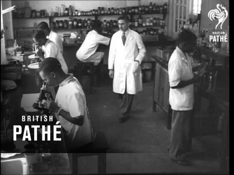 how to administer smallpox vaccine