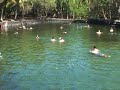 Warm Pond at Ahalanui Park in Kapoho Hawaii
