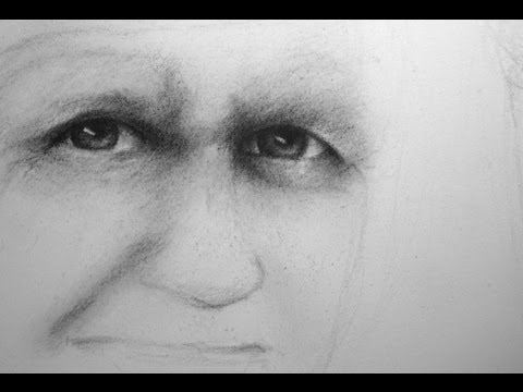 how to draw from a portrait