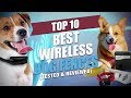The Best 14 Wireless Pet Fence Reviews