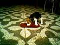 Beagle Mia mordiendo pantuflas 2