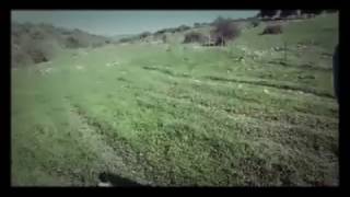 فلسطين صبارين قضاء حيفا