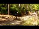 Mountain biking. Israel. Ramot (highlands) Menashe (Caramel). ????? ?????? (???????). ???????. Mountain biking. Israel. Ramot (highlands) Menashe (Caramel). ????? ?????? (???????). ???????.