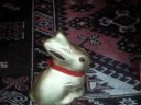 Easter showdown