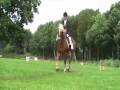 videos de Maro dressuurwedstrijd Bronneger augustus 2008 klasse L1