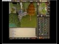 SMP: RuneScape Quick XP While Relaxing! - No bots!