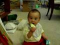 videos de Lachlan is eating cucumber
