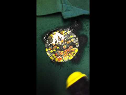 how to remove labels from t shirts