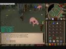 Summoning - How to Get Charms Easily (Part 1)