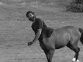 Ride Free (sortir de l\