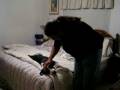videos de Nena