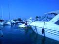Captain Thomo trying to park a DONZI ZX 33