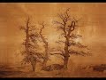 4. Vivaldi: Concerto 
