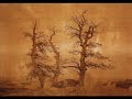 4. Vivaldi: Concerto 