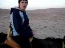Israel burros