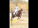 concours
