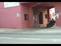 Traubenernte Jalon 2