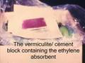 videos de The Storage of Bananas in Polyethylene Bags