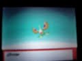 Pokemon diamante.Surskit shiny evolucionando