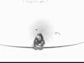 Club Penguin- Music Video White Room Club Penguin- Music Video White Room