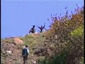 sivas su?ehri ye?ilyayla köyü sivas su?ehri ye?ilyayla köyü