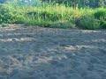 ibot in hard and soft sand ibot in hard and soft sand