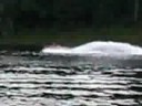 Maiden Voyage