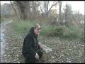 videos de turkey hunting