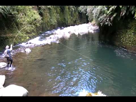 trouts - Alex and Shane hiked 6 Km into the top of a river system to get at some awesome Rainbows. All on the Nymph using strike indicators.