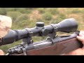 warthog hunt, great shot