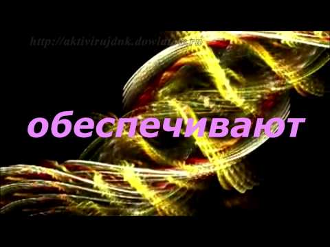 YouTube Трейлер