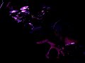 Video screenshot