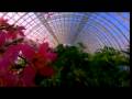 videos de Oklahoma City - The Latest Big League City