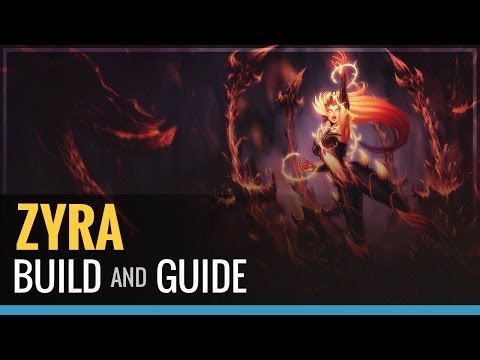 how to build zyra