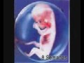 aborto