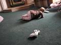emmalynn trying to crawl.
